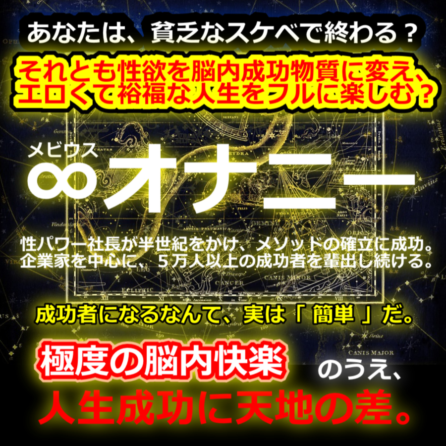 ��x���̐l�������p���r�E�X�I�i�j�[,�]�Ȋw,�r�W�l�X�Ɛ��~�G�l���M�[,�I�i��,�����Ɛl�Ԋ֌W�̊�]����,�]������,A10�_�o,���Ȍ[��,�����҂̖[���p,�����񂹂̖@��